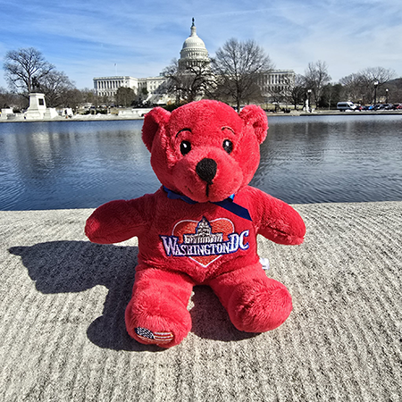 Washington, D.C. Valentine Bear